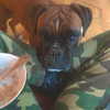 ellameytes Altpins Profile Picture
