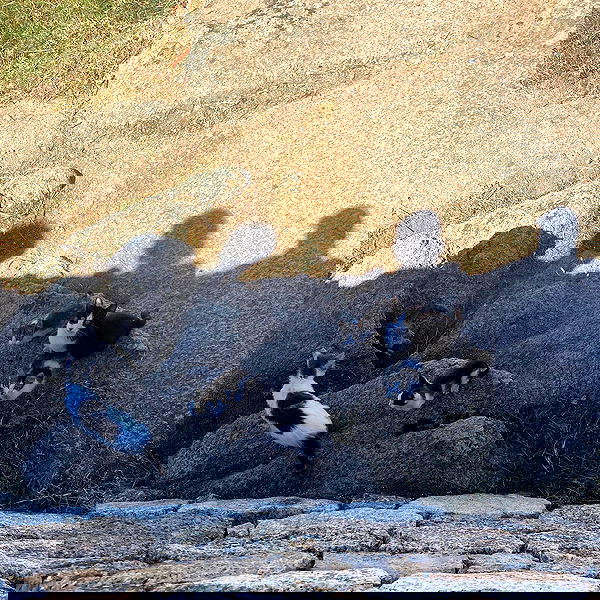 ellamwatts_ ellamwatts_ archive image