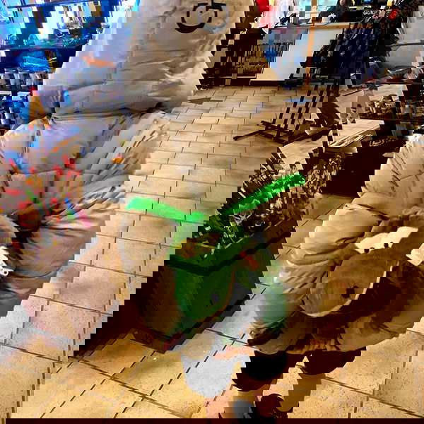 ellamwatts_ ellamwatts_ archive image