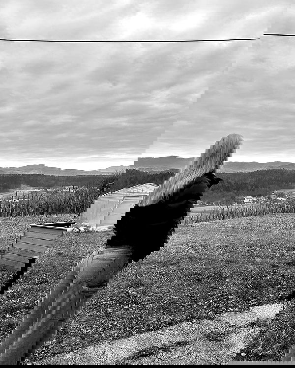 ellamwatts_ ellamwatts_ archive image