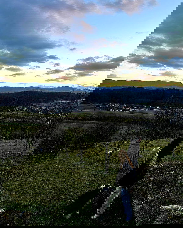 ellamwatts_ ellamwatts_ archive image