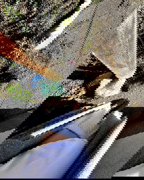 ellamwatts_ ellamwatts_ archive image