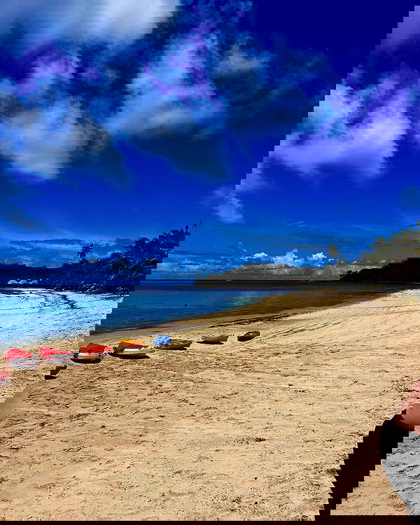 ellamwatts_ ellamwatts_ archive image