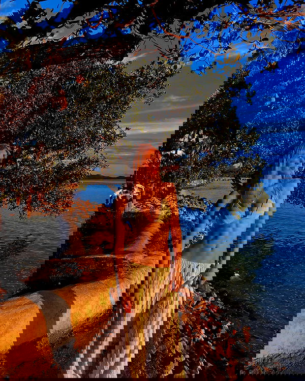 ellamwatts_ ellamwatts_ archive image