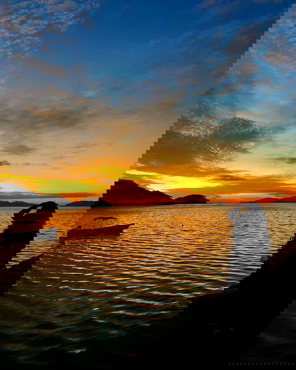 ellamwatts_ ellamwatts_ archive image