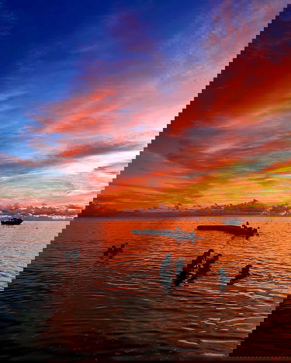 ellamwatts_ ellamwatts_ archive image