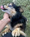 elliesorokin Altpins Profile Picture