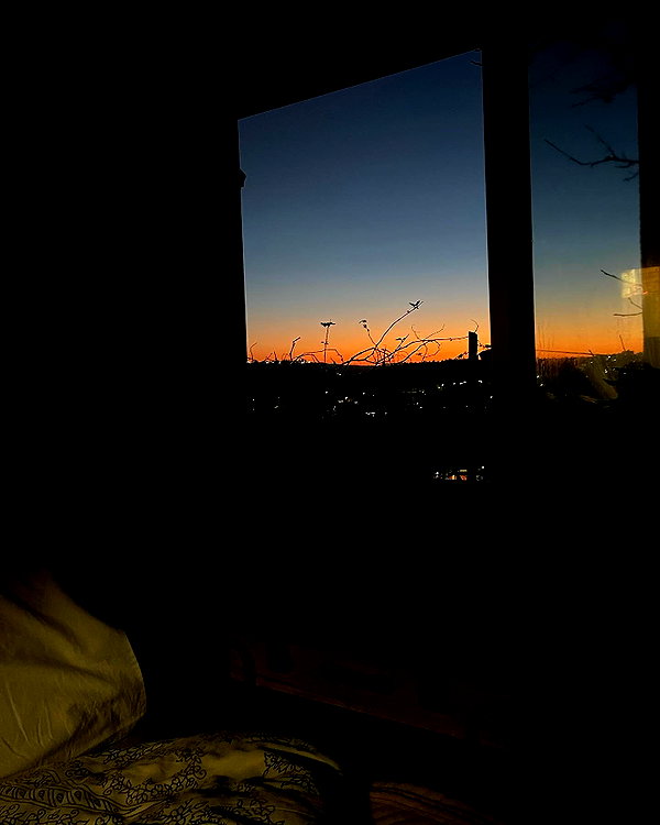 elliesorokin instagram image archive image