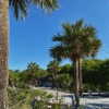 ellmari.e Altpins Profile Picture