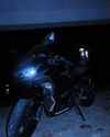 ellmari.e Altpins Profile Picture