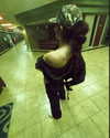 ellmari.e Altpins Profile Picture