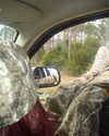 ellmari.e Altpins Profile Picture