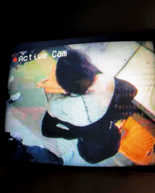 ellmari.e instagram image archive image