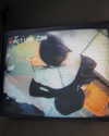 ellmari.e Altpins Profile Picture