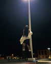 ellmari.e Altpins Profile Picture