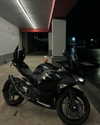 ellmari.e Altpins Profile Picture