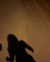 ellmari.e Altpins Profile Picture