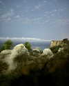 ellmari.e Altpins Profile Picture