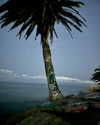 ellmari.e Altpins Profile Picture