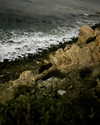 ellmari.e Altpins Profile Picture