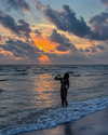 ellmari.e Altpins Profile Picture