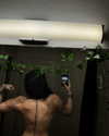 ellmari.e Altpins Profile Picture