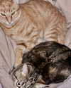 ellmari.e Altpins Profile Picture
