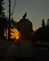 ellmari.e Altpins Profile Picture