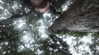 ellmari.e Altpins Profile Picture
