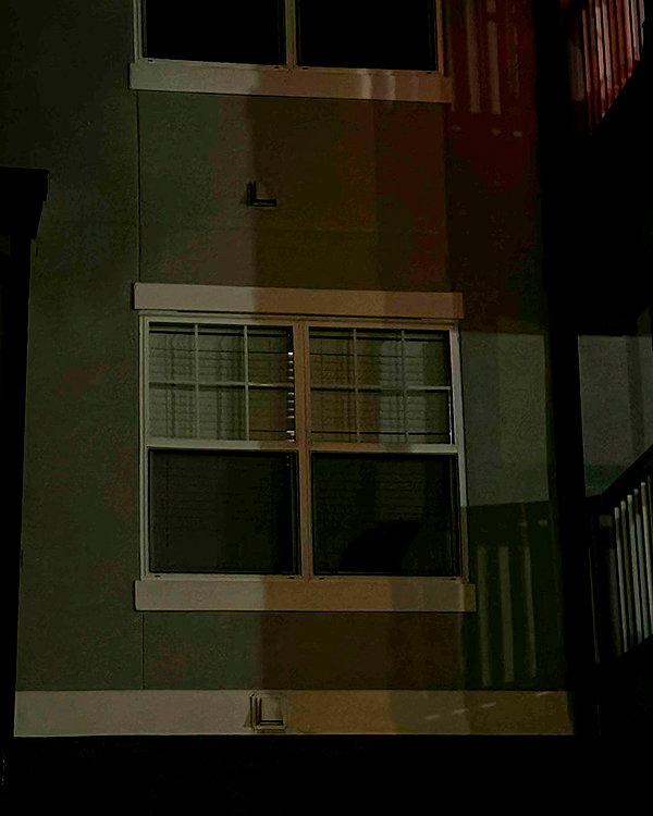 ellmari.e instagram image archive image