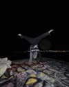 ellmari.e Altpins Profile Picture