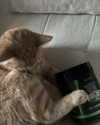ellmari.e Altpins Profile Picture
