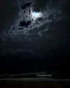 ellmari.e Altpins Profile Picture