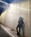 ellmari.e Altpins Profile Picture