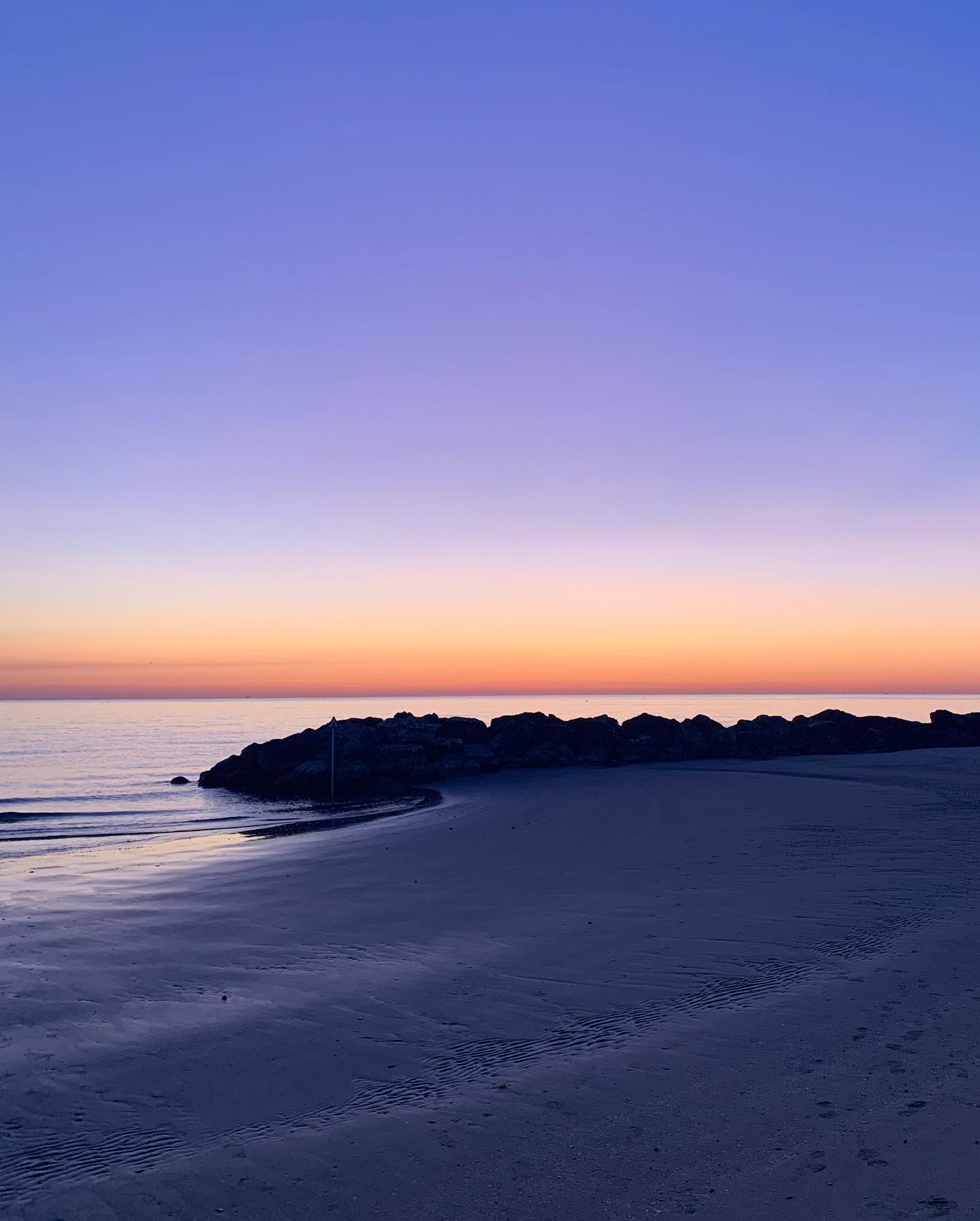 elsgatti instagram image archive image