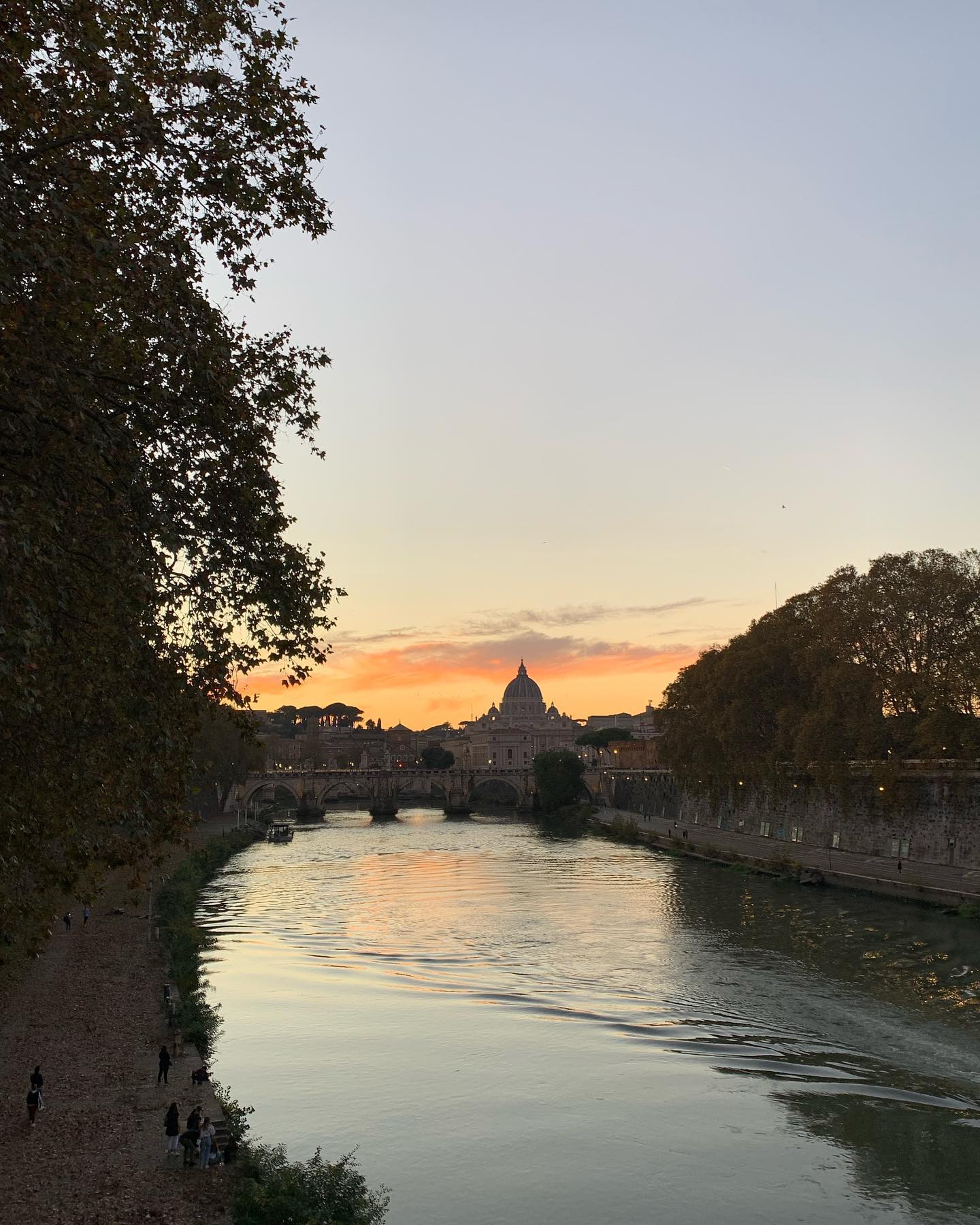 elsgatti instagram image archive image