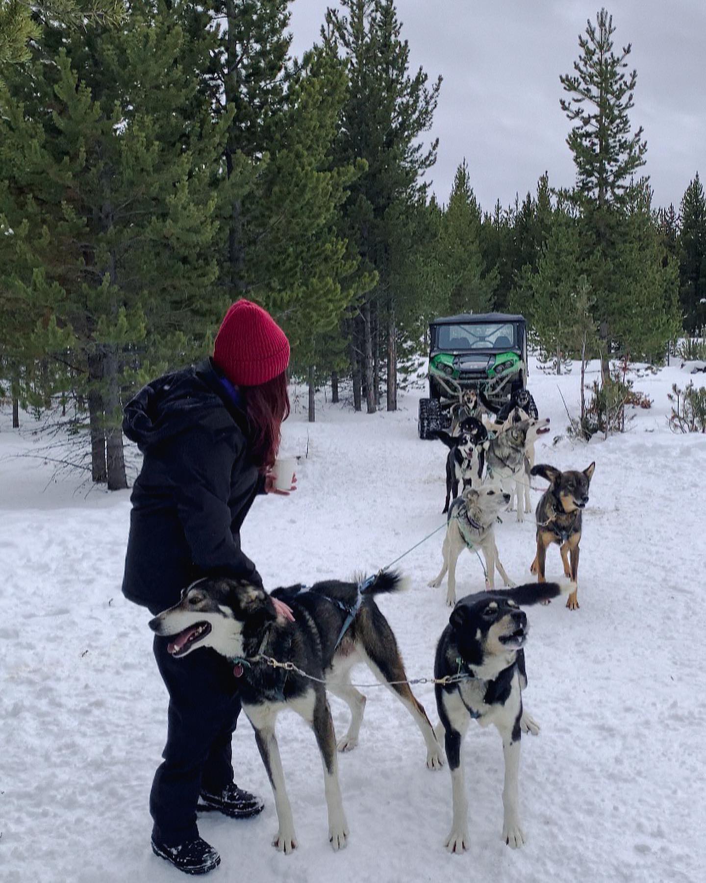 elsgatti instagram image archive image