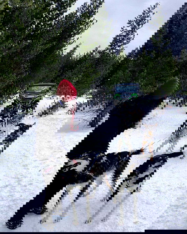 elsgatti image ~ Altpins