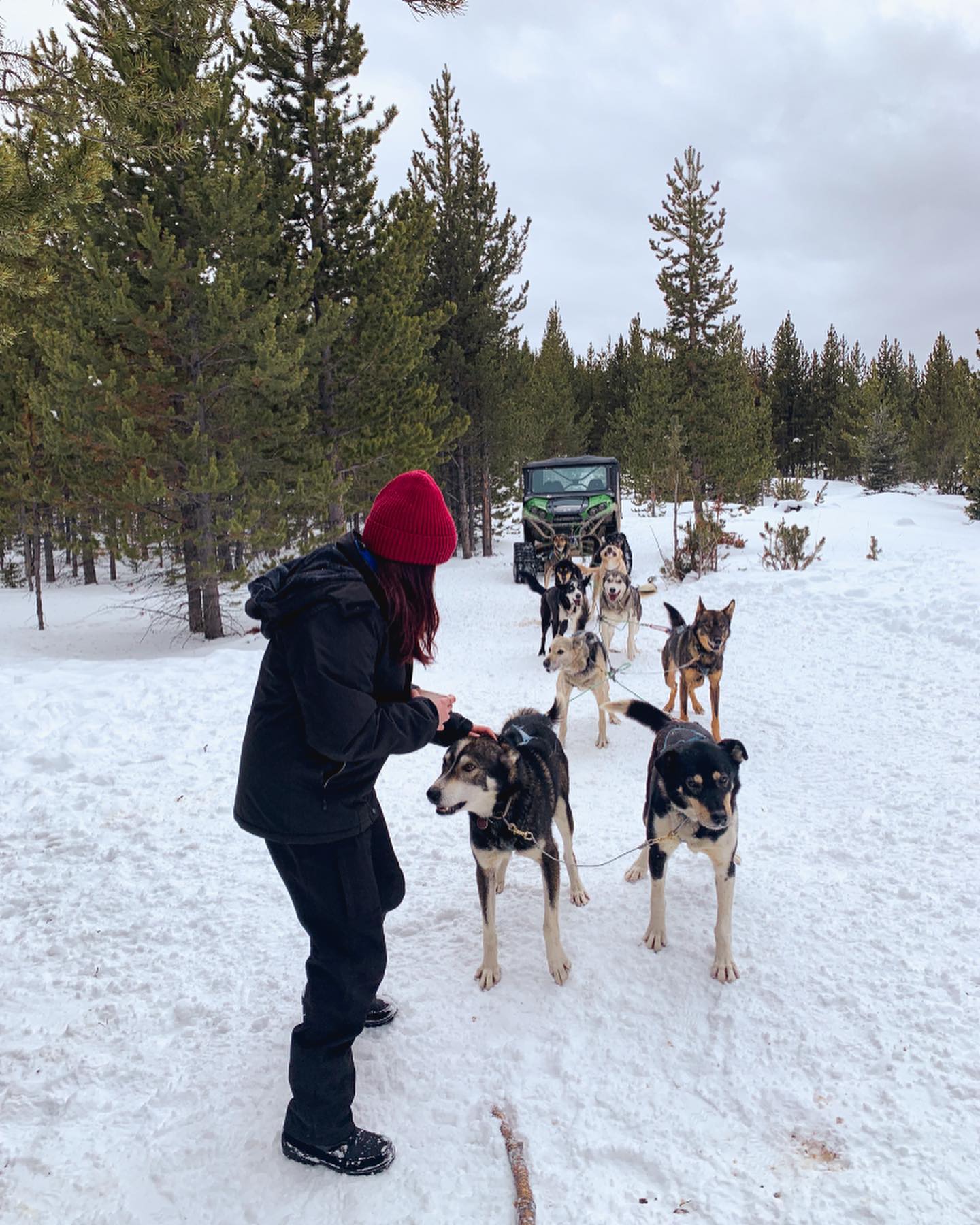 elsgatti instagram image archive image