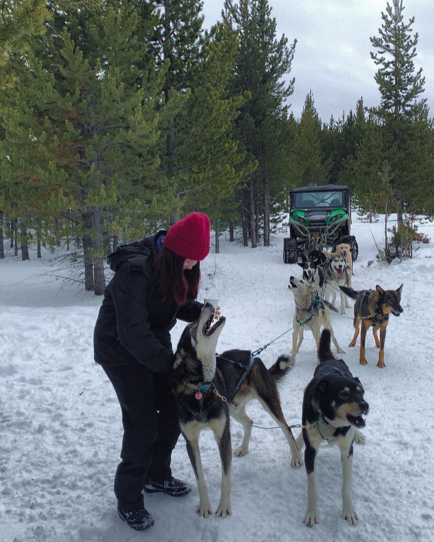 elsgatti instagram image archive image