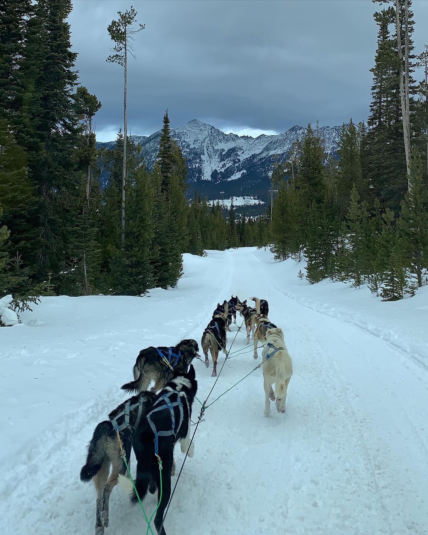 elsgatti instagram image archive image