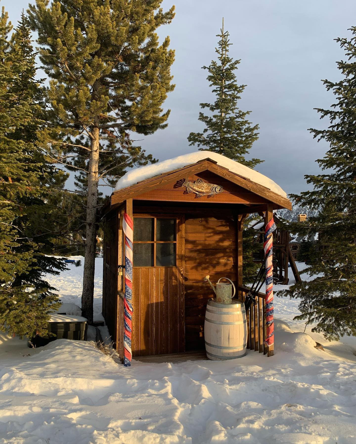 elsgatti instagram image archive image