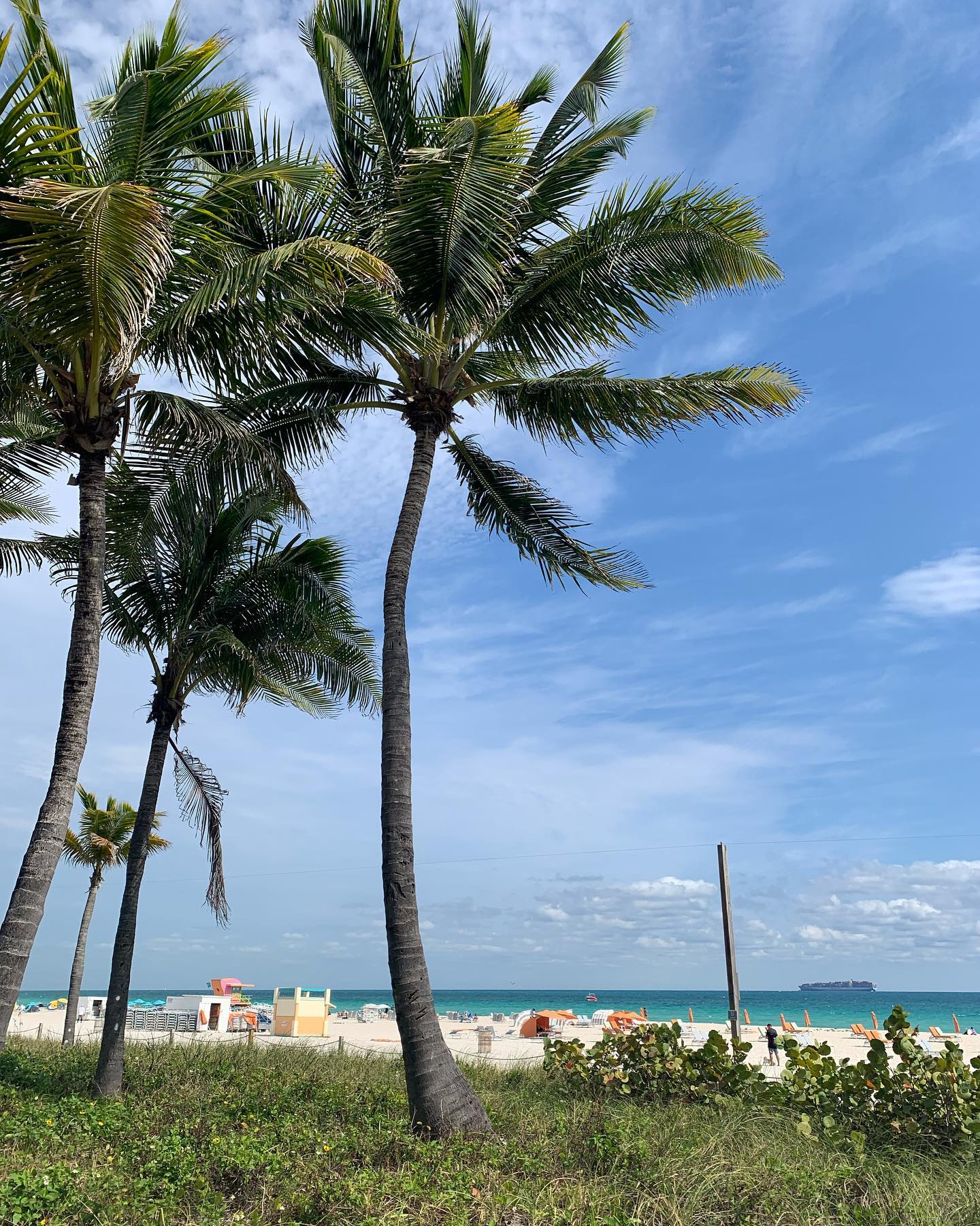 elsgatti instagram image archive image