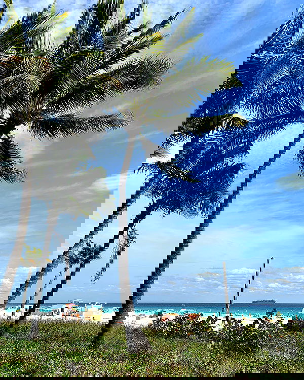 elsgatti image ~ Altpins