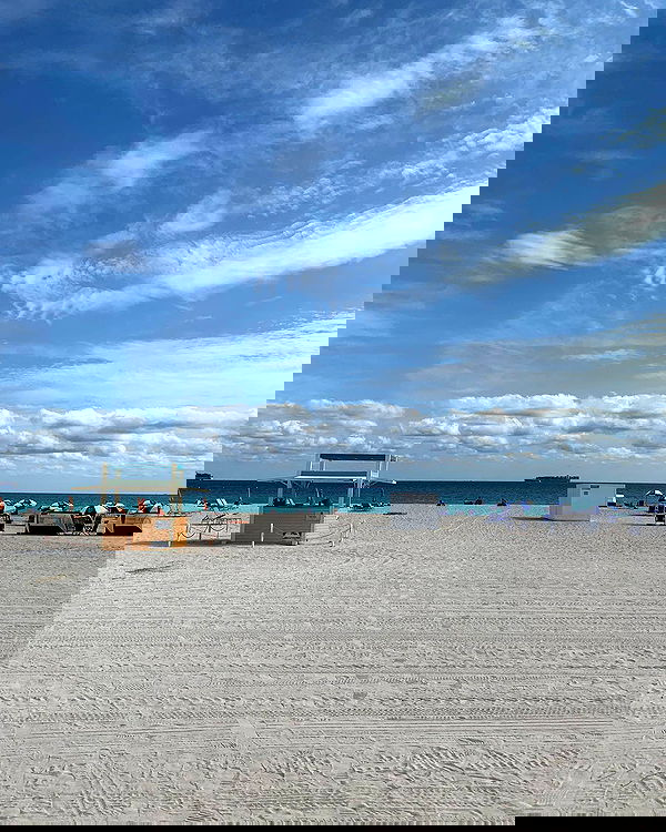 elsgatti image ~ Altpins