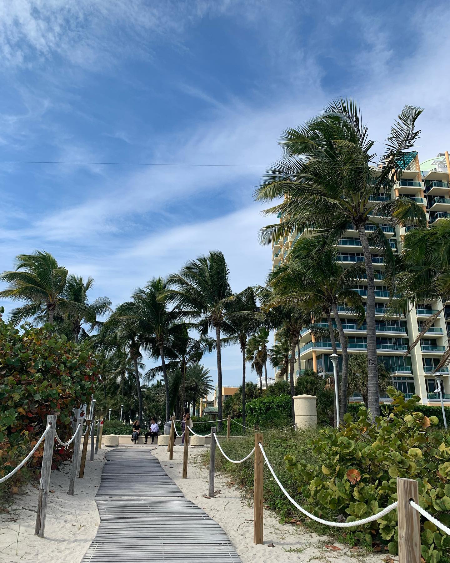 elsgatti instagram image archive image