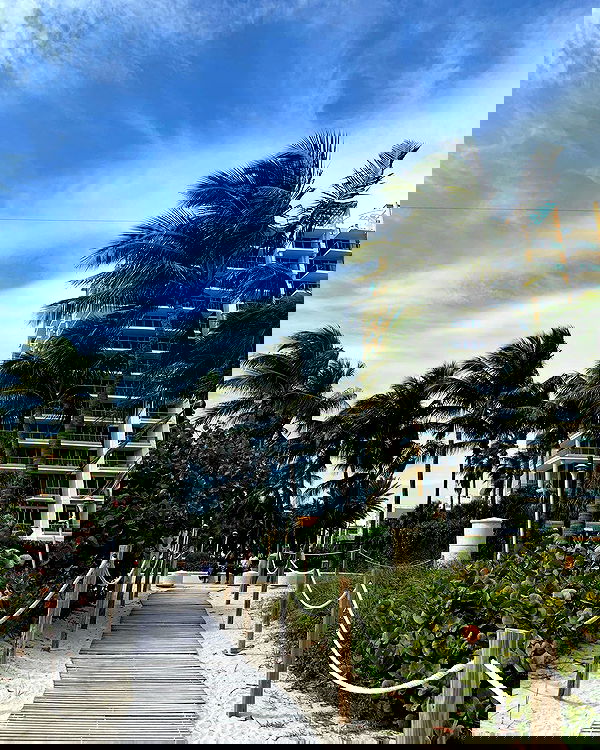 elsgatti image ~ Altpins