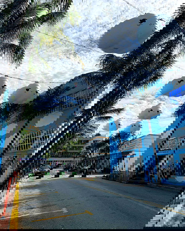 elsgatti image ~ Altpins