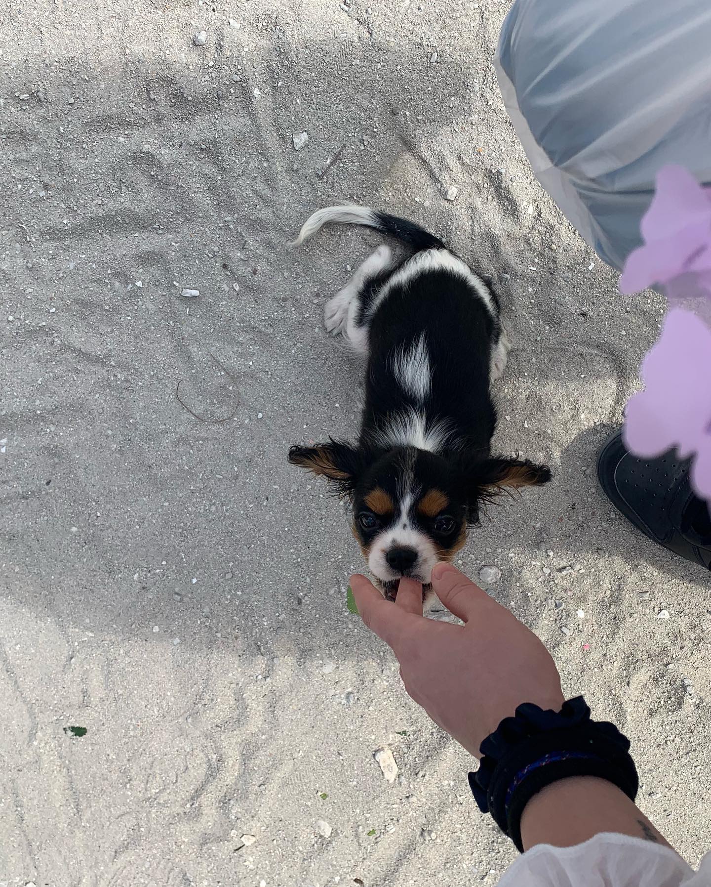 elsgatti instagram image archive image