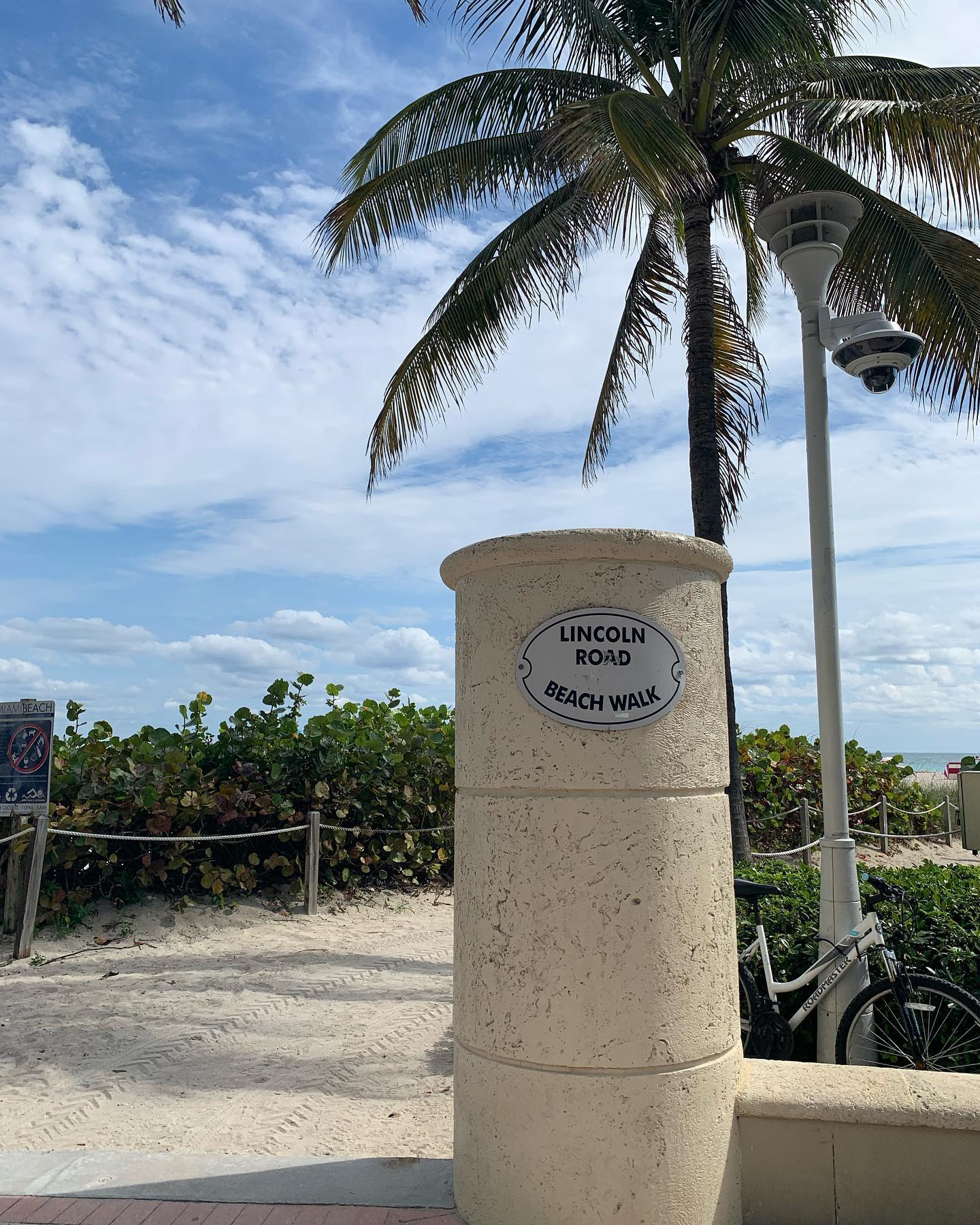 elsgatti instagram image archive image